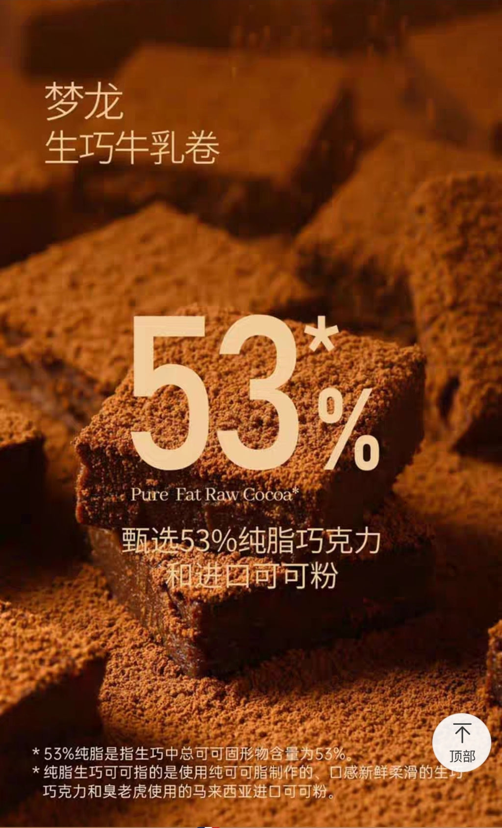 Magnam Nama Chocolate Cake Roll