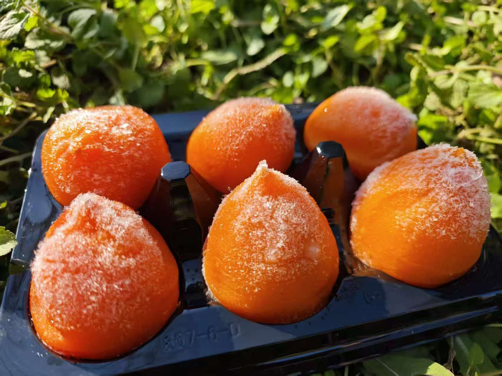 Iced Persimmon