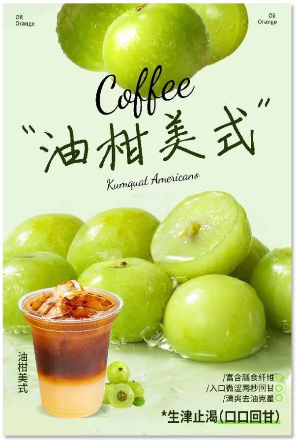 Frozen Myrobalan Juice